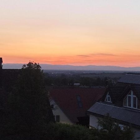 Ferienwohnung Vogesenblick Mullheim  Eksteriør billede