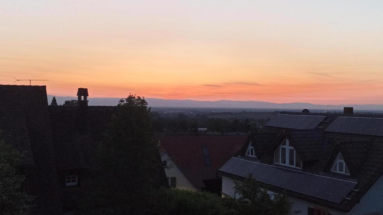 Ferienwohnung Vogesenblick Mullheim  Eksteriør billede